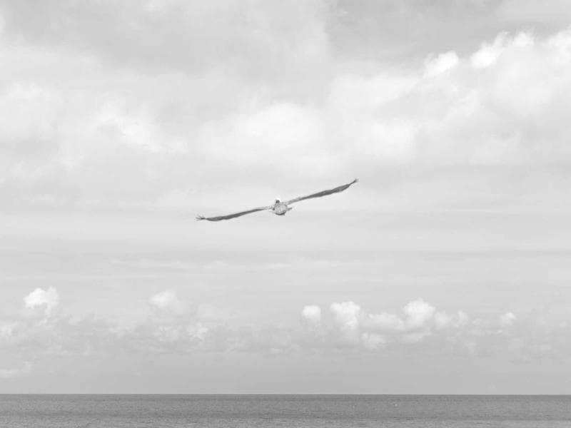 广告账户一键开户