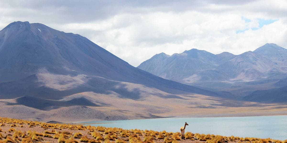 某美妆品牌TikTok投放案例：3个月ROI提升300%