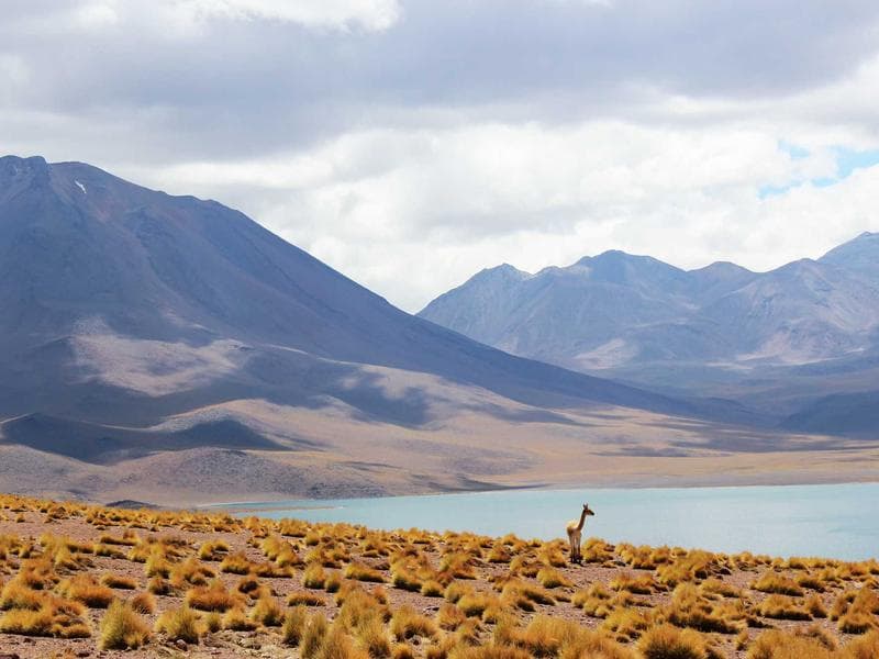 某美妆品牌TikTok投放案例：3个月ROI提升300%