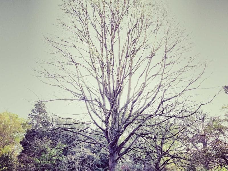 Facebook广告受众定位策略：精准触达目标客户