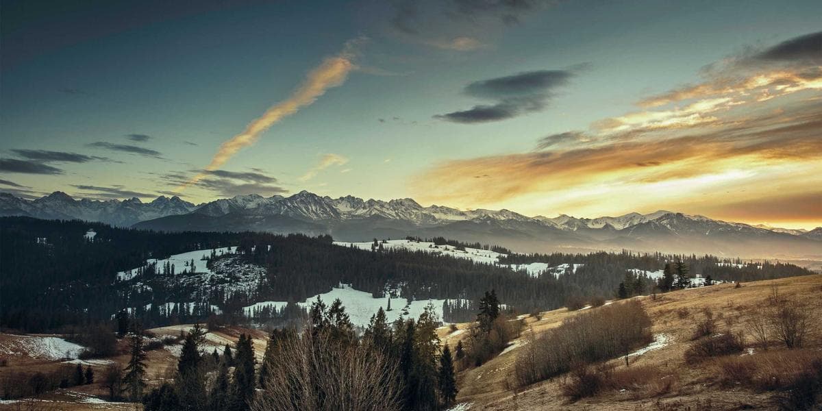 跨境电商品牌如何在Google上实现精准获客