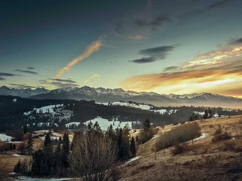 跨境电商品牌如何在Google上实现精准获客