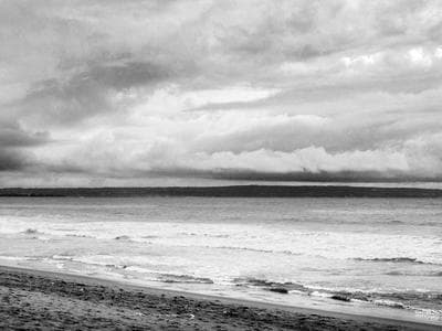 宠物用品热销增长280%